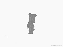 Map of Portugal with Districts - Single Color